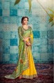 Multicolor Saree with Printed Tussar Silk