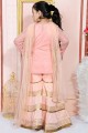 Light pink Net Salwar Kameez