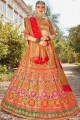 Stylish Multi color Banarasi Silk Lehenga Choli