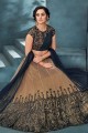 Party Lehenga Choli in Beige Net with Embroidered