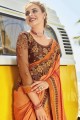 Light Brown Saree with Embroidered Silk
