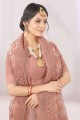 Rust  Saree in Embroidered Net