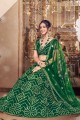Green Party Lehenga Choli with Embroidered Soft net