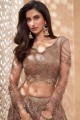 Embroidered Net Party Lehenga Choli in Brown
