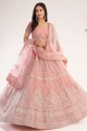 Embroidered Net Party Lehenga Choli in Baby pink
