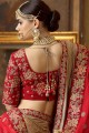 Exquisite Red Velvet Bridal Lehenga Choli