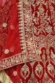 Enticing Velvet Lehenga Choli in Red