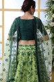Net Lehenga Choli with Embroidery in Light Green