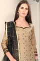 Light Brown Straight Pant Straight Pant Suit in Silk with Chanderi