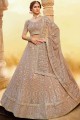 Pastel Brown Georgette Lehenga Choli with Embroidery