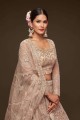 Soft net Wedding Lehenga Choli with Embroidered in Royal beige