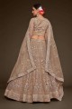 Embroidered Wedding Lehenga Choli in Royal beige Soft net