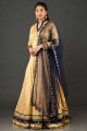 Lace Silk Readymade Gown Dress in Light brown