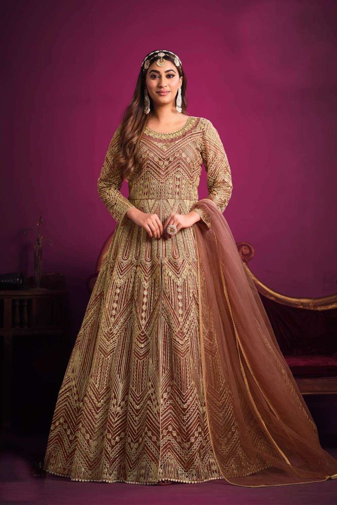 Light brown Printed Anarkali Suit in Net